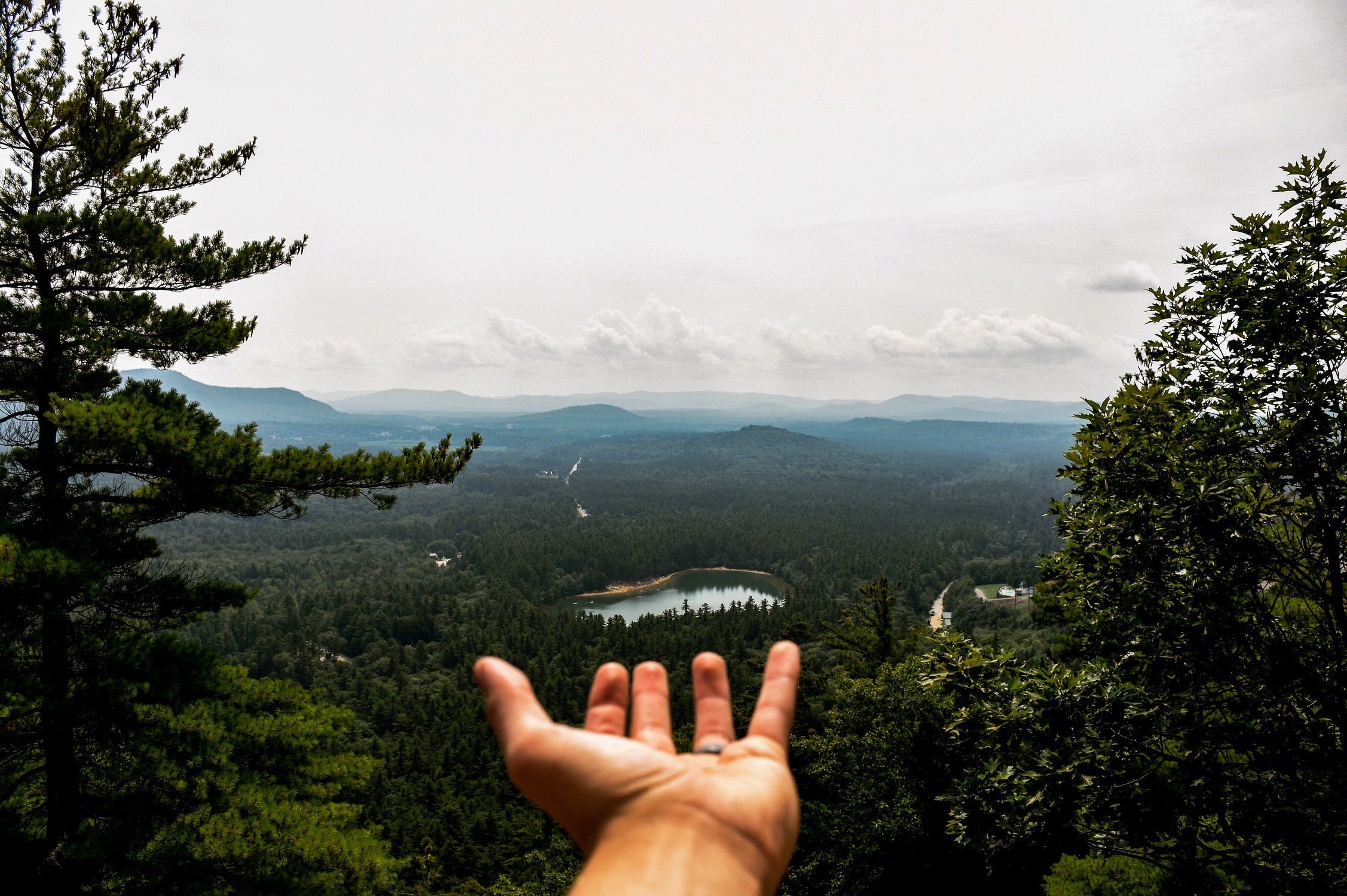 Photo by Drew Saurus on Unsplash