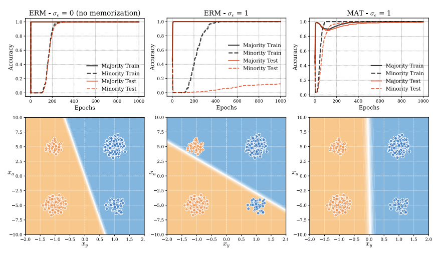 Left panel: The model learns spurious correlations but is still capable of sub-optimal generalization. Central panel: The model learns minority examples and is unable to generalize. Right panel: The model generalizes and does not learn minority examples by heart. image source: [2]